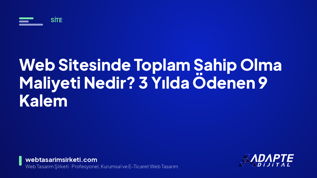 Web Sitesinde Toplam Sahip Olma Maliyeti Nedir? 3 Yılda Ödenen 9 Kalem